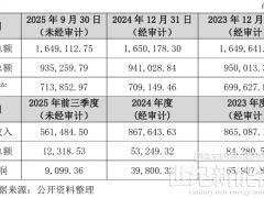 5.8億元！棒杰股份重整人定了