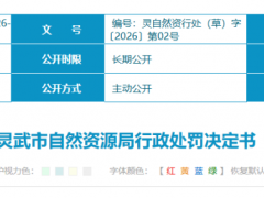 寧夏光伏項(xiàng)目違法占地被罰！