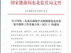 東北區(qū)域集中式新能源發(fā)電企業(yè)集中報價工作實施方案（試行）：禁止跨省集中報價
